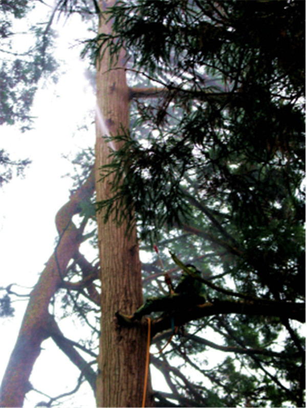 ��������Ŀɽ�L���^�ȵĹŘ䱣�o����