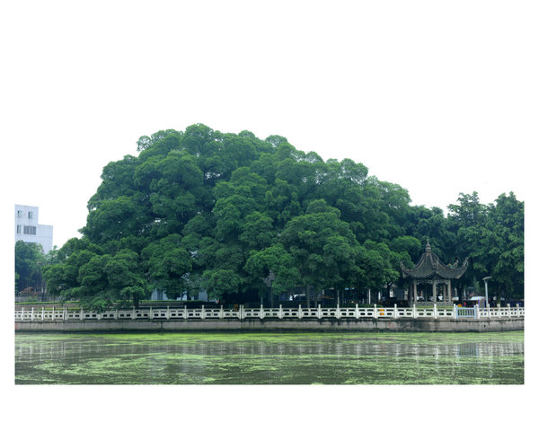 �o(w��)��С�~��