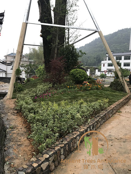 �Ř�(sh��)��ľ���حh(hu��n)�����켰����