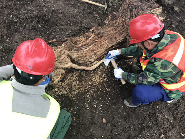 �帯������������̎��